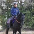 【注目馬動向】ゾロアストロは鼻出血で日本ダービーを登録見送り　５・９億円馬エムズビギンが滑り込みで出走可能に