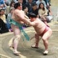 琴桜が４連敗　大栄翔に敗れ、６敗目