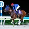 【平安S】ナルカミ、ロードクロンヌなどが登録