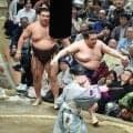 豪ノ山が霧島を撃破　先場所の雪辱果たし、２敗で優勝争いに踏みとどまる