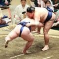阿炎が立ち合い変化で４勝目「思い切ってやってみようと思いました」９日目は伯乃富士戦
