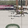 「可愛すぎる」競馬場に現れた“ご当地ゆるキャラ”を囲む大勢の競馬ファンにほっこり「ぼっちだったのが今では…」