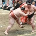 関脇・熱海富士がお茶漬けの日に勝って五分に　永谷園から化粧まわし贈呈　以前はＣＭも「お茶漬けの日から白星重ねてほしい」