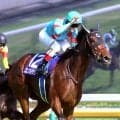 【ヴィクトリアＭ】牝馬２冠馬エンブロイダリー完勝　「１番人気の馬で１００勝できて良かった」ルメール騎手が歓喜の節目Ｖ