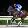 【平安S登録馬】ナルカミなど19頭