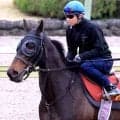 【Ｇ1・1週前まとめ】母子制覇を狙う良血アランカール、武豊を背にスピード感抜群の走り「状態は良さそうですね」　オークス