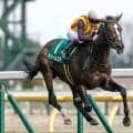 【オークス見どころ】得意の東京コースでドリームコアの末脚が炸裂する