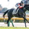 【日本ダービー出走馬決定順】エムズビギンまでの18頭が出走可能 カフジエメンタールとケントンが除外対象