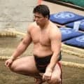大相撲　大森が５連勝　所作ミス＆立ち合い駆け引きも動揺なし　「間違えたっす」