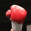 【ボクシング】亀田京之介、佐野遥渉出場の未公認WBA暫定世界戦興行が中止　関係者の処分検討