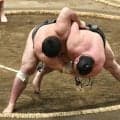 旭富士がひやり５連勝　序ノ口デビューから１９連勝　敗れた不動豊「圧すごかった」