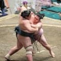 炎鵬、勝ち越し王手　錦木に先場所の雪辱「反省して挑みました。我慢勝ちかなと」