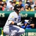 【阪神】前川右京が登録抹消　４月７日に今季初昇格し18試合に出場も５月10日以降出場機会なし