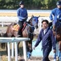 【オークス】東大出身で開業２１年目の小笠調教師が送り出すラフターラインズ　「結果につなげてあげたいです」