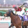 １２年の牝馬３冠ジェンティルドンナの墓碑をノーザンホースパークに建立「多くの人々に愛された名牝へ」１９日から一般公開