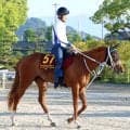 【オークス】今村聖奈騎手と挑むジュウリョクピエロが前走以上の気配　陣営「体つきにメリハリが出てきました」