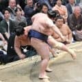 大関・琴桜が５連敗で７敗目　負け越せば名古屋場所はカド番「本来の相撲内容じゃない」