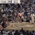 「着物姿がおキレイ」大相撲、溜まり席に“凛”とした女性著名人の姿「いらしていますね」
