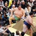 大関琴桜が５連敗で７敗目「恥をさらして恥を糧に来場所から奮起して」舞の海氏がエール