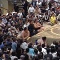 どうした琴櫻…物言いつく“微妙な一幕”も5連敗 「踵はまだ浮いている」決定的瞬間に注目「よく見てた行司」軍配へ称賛も