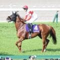 【注目馬動向】ダノンデサイルも宝塚記念参戦！　クロワデュノール、ミュージアムマイル、レガレイラなど豪華メンバー集結