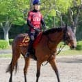 【注目馬動向】ヴィクトリアＭ６着のニシノティアモ　秋はエリザベス女王杯が大目標　西山茂行オーナーがブログで明かす