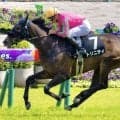 史上3組目の母仔オークス制覇なるか トリニティが一発狙う