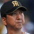 【阪神】新顔デビューで打線の幅広がる？「交流戦に入ればまた可能性が。ディベイニーなんかも」