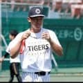 阪神　ドラ１立石を出場選手登録　ＮＰＢが公示