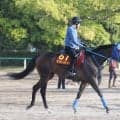 【オークス】５戦連続上がり最速　ラフターラインズは週末の馬場状態がポイント　小笠調教師「切れ味がある馬なので」
