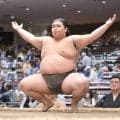 自己最高位の幕下・竜鳳が勝ち越し「ここで満足はしていない」　兄弟子の霧島が師匠の元鶴竜から受けた言葉を胸に勝利