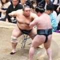 藤凌駕、自身初の幕内勝ち越し　新入幕の先場所は負け越し　「下から厳しく攻めたのがよかった」