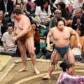 琴栄峰が勝ち越し、２敗を守る　「今場所は堂々と相撲が取れている」　兄の琴勝峰とともに優勝争いをかき回す