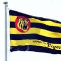 【阪神】６月５日からSTADIUM HEROES DAY　特別ユニ着用、旧グラウンド整備車展示