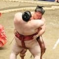 若隆景が勝ち越し、２敗を堅持　前日の敗戦引きずらず　熱海富士に勝利