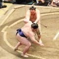 朝乃山「心を落ち着かせて」３連勝で勝ち越し王手