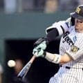 阪神・佐藤輝明　先制Ｖ打＆１２号「じいちゃん、ばあちゃんが来ていたので」　今季８度目猛打賞！シーズン自己最多５月で並んだ