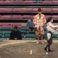 大相撲、“凝りすぎ”応援グッズに「なんやそれw」驚愕 ユニークな“推し”呼出への声援に「これはガチ勢」
