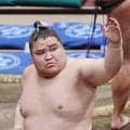 旭富士が大森に勝って６連勝　注目対決を制し３場所連続の各段優勝に王手
