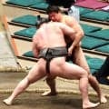横綱のしこ名を継ぐ旭富士、序ノ口デビューから２０連勝　大森との注目の対決を制す