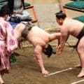 三段目・三田が無傷６連勝「しっかり相手を見れて対応できたので、良かった」…右膝の大けがから復帰の場所