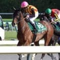 【注目馬動向】エプソムＣ２着のステレンボッシュは安田記念へ　社台グループオーナーズが発表