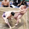 炎鵬、勝ち越しはまたもお預け「ここからだと思う。気持ちもまだまだある」わずかなチャンス逃す