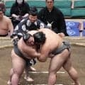 幕下取組で「まわし待った」竜鳳のまわし木村悟志が締め直し「『動くな、動くな』とささやいた」