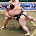 東海大柔道部出身・岡田、体重２１０キロの三段目力士を投げて初白星「でかくて、重かったです」