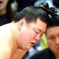 東幕下２枚目・嵐富士が勝ち越し　来場所の新十両に前進「ホッとした」　同部屋の寿之富士と炎鵬の十両昇進も刺激に