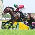 【注目馬動向】鞍馬Ｓ１着のフリッカージャブは北九州記念に挑戦　ランフォーヴァウも