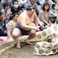 41歳玉鷲、悪夢の９連敗から２連勝「連日感動しっぱなしです」「玉鷲勝つと涙腺緩む」