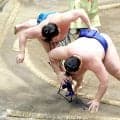 琴栄峰が２敗を守る　欧勝馬に勝ち首位堅持