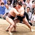 連日のおでこに絆創膏の霧島が２敗同士の対戦で若隆景に勝利　首位を守る